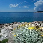Daire Cvjetan *